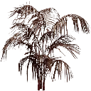 deadpalm01