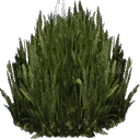kbplanter_plants1