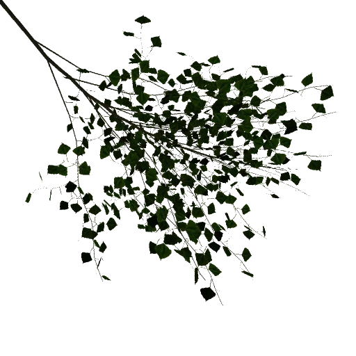 poplar2