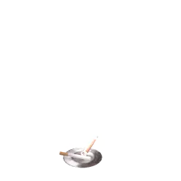 propashtray1