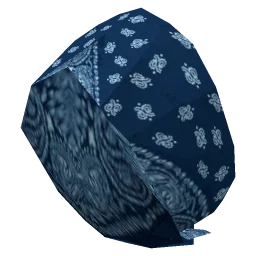 Bandana7