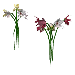 fun_flower_law
