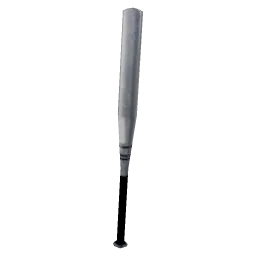 bat