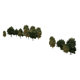 lib_street15