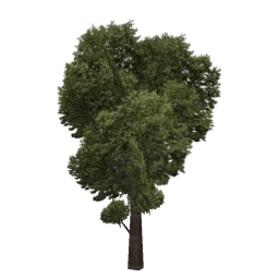 veg_treeb1