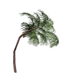 veg_palwee03