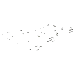 nitelites_LAW02