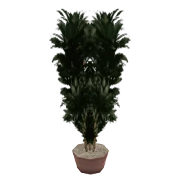 veg_palmkb3