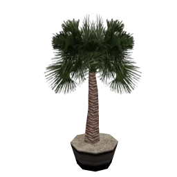 veg_palmkb4