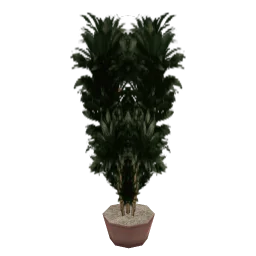 veg_palmkb9