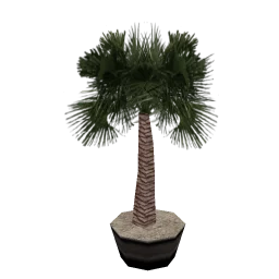 veg_palmkb10
