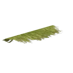 veg_fern_balcny_kb1
