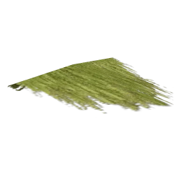 veg_fern_balcny_kb2