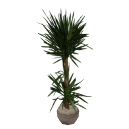 pot_02