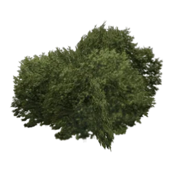 new_bushsm
