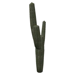 sjmcacti2