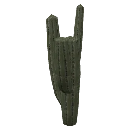 sjmcacti03