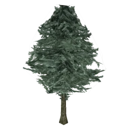 pinetree06