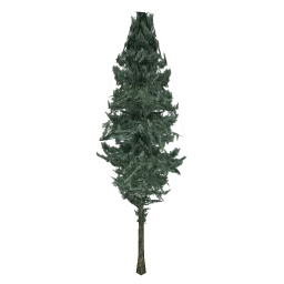 pinetree04