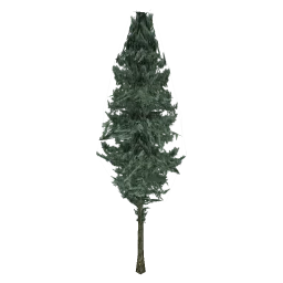 pinetree01