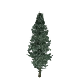 pinetree03