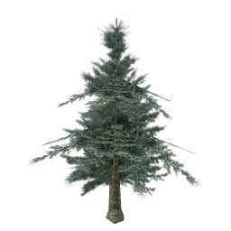 firtree2