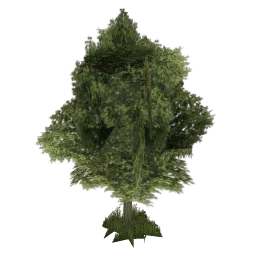 sm_veg_tree4