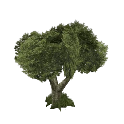 sm_veg_tree5