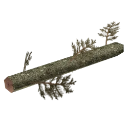 sm_fir_log02