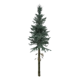 sm_fir_
