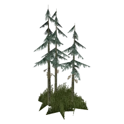 sm_fir_scabg