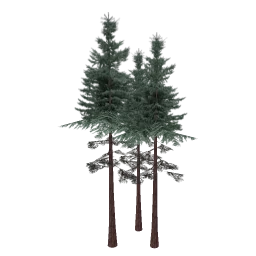 sm_redwoodgrp