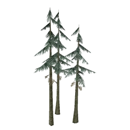 sm_fir_scabtg
