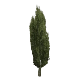 sm_veg_tree6