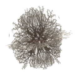 sm_tumbleweed