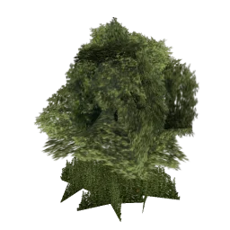 sm_veg_tree7_big