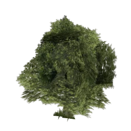 sm_veg_tree7vbig