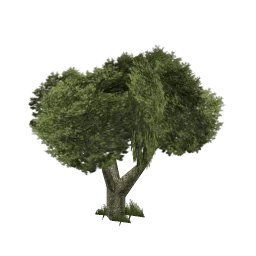 sm_vegvbbig