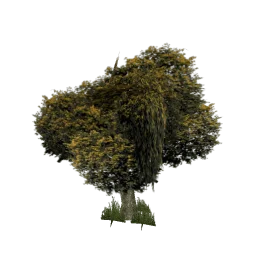 sm_bushvbig