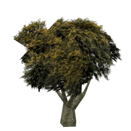 sm_vegvbbigbrn