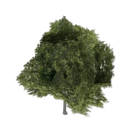 veg_bevtree1