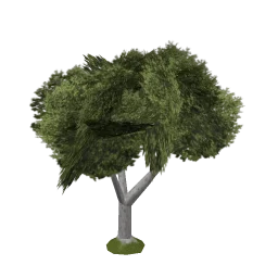 veg_bevtree3