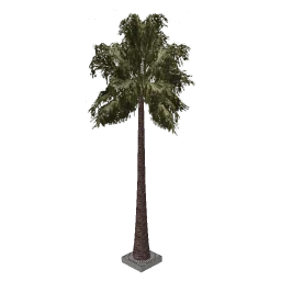 sjmpalmbigpv