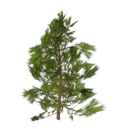 tree_hipoly19