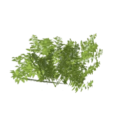 tree_hipoly06