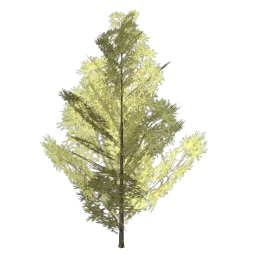 tree_hipoly07