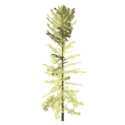 tree_hipoly08