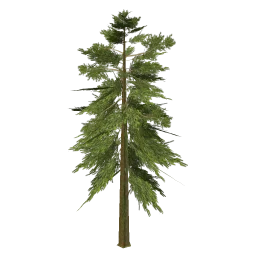 tree_hipoly09