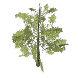 tree_hipoly11