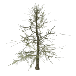 tree_hipoly14